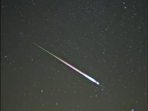 Weekend con le Leonidi: ecco come vedere la pioggia di meteore