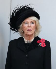 I reali inglesi durante Remembrance Day 8