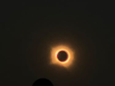 Lo spettacolo nel cielo con l'eclissi solare