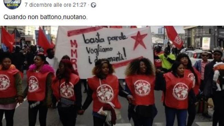'Se non battono, nuotano'. Bufera sul leghista per il post sulle "sardine nere"