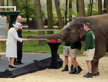 La Regina Elisabetta va allo zoo a vedere gli elefanti 6