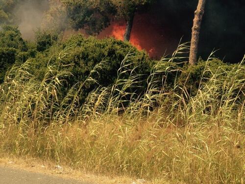 Incendio a Fiumicino