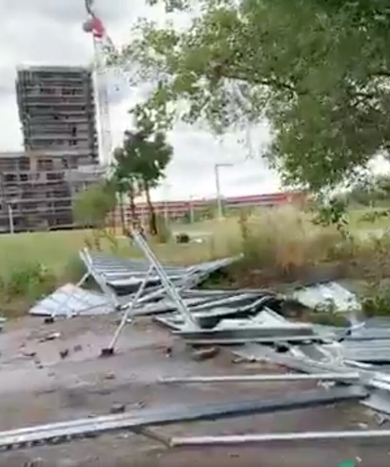 Follia del centro sociale di Bologna 5