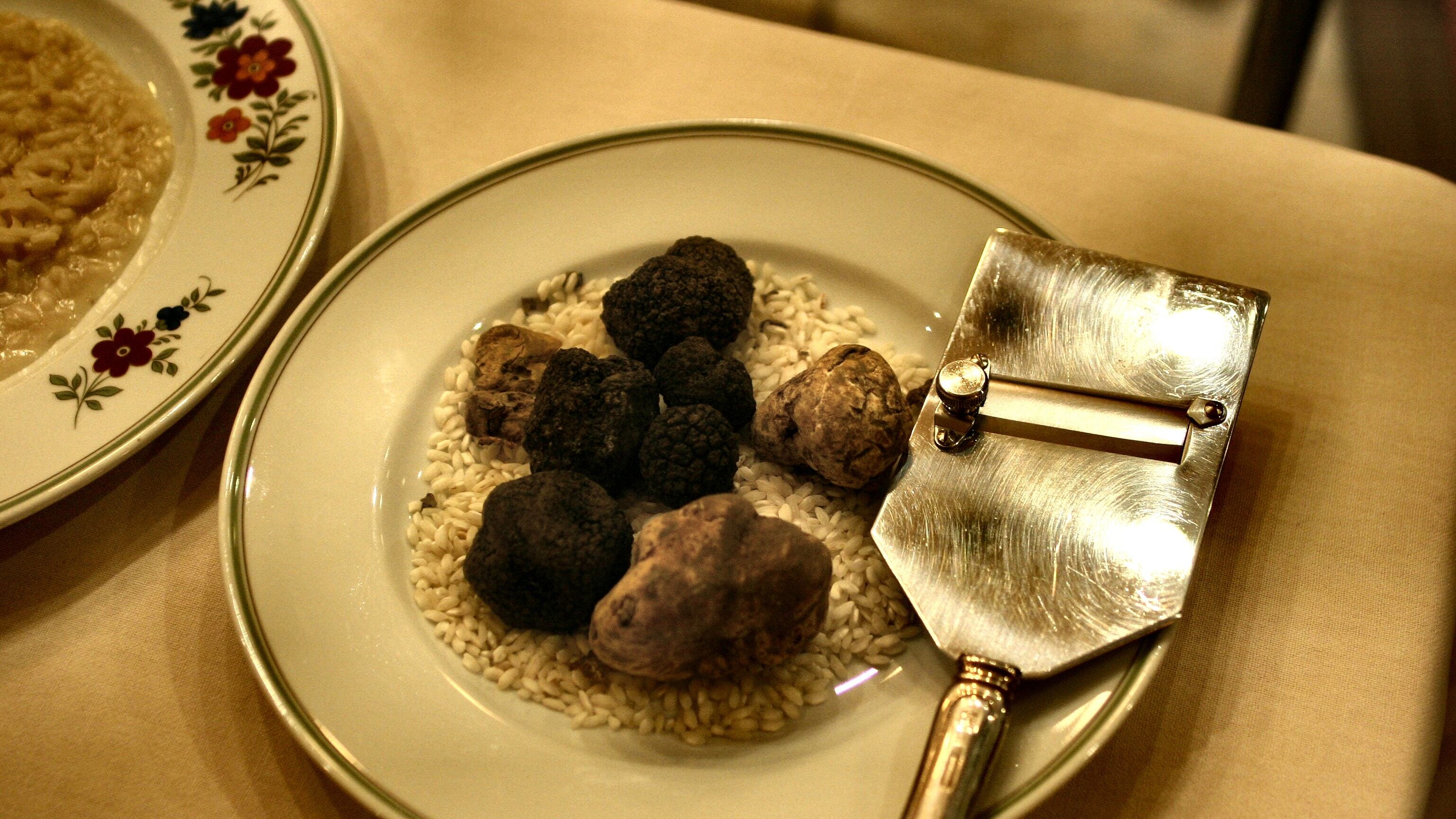 Milano come le Langhe: debutta la Fiera del tartufo