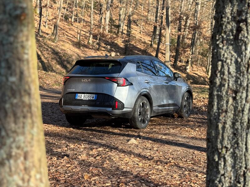 Kia Sportage Diesel: la gallery del viaggio in Alsazia 4