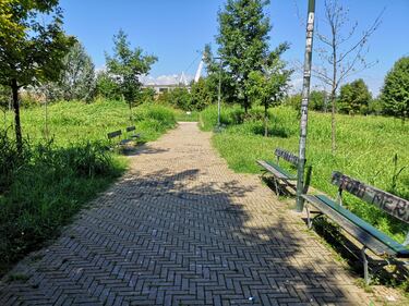 Torino, quel giardino dimenticato dedicato alle vittime delle foibe 3