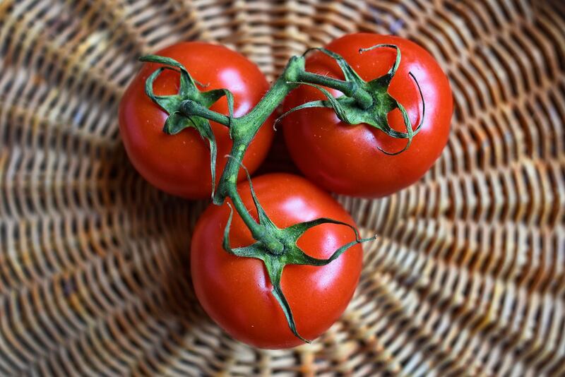 Pomodoro, così si combatte invecchiamento e stress ossidativo