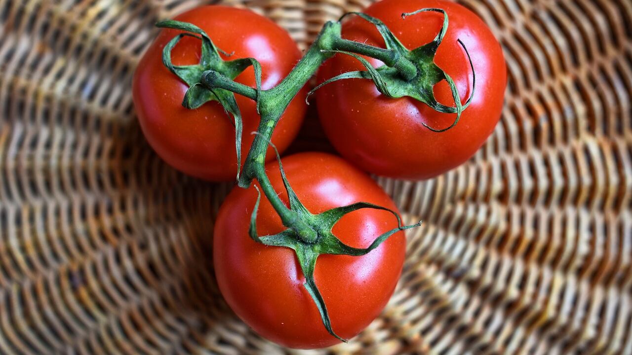 Pomodoro, così si combatte invecchiamento e stress ossidativo