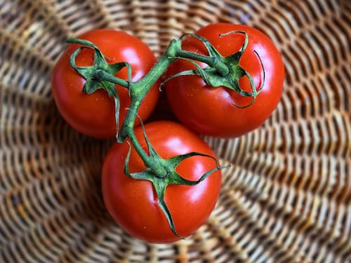 Pomodoro, così si combatte invecchiamento e stress ossidativo
