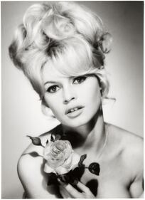 La vita pubblica di Brigitte Bardot 3