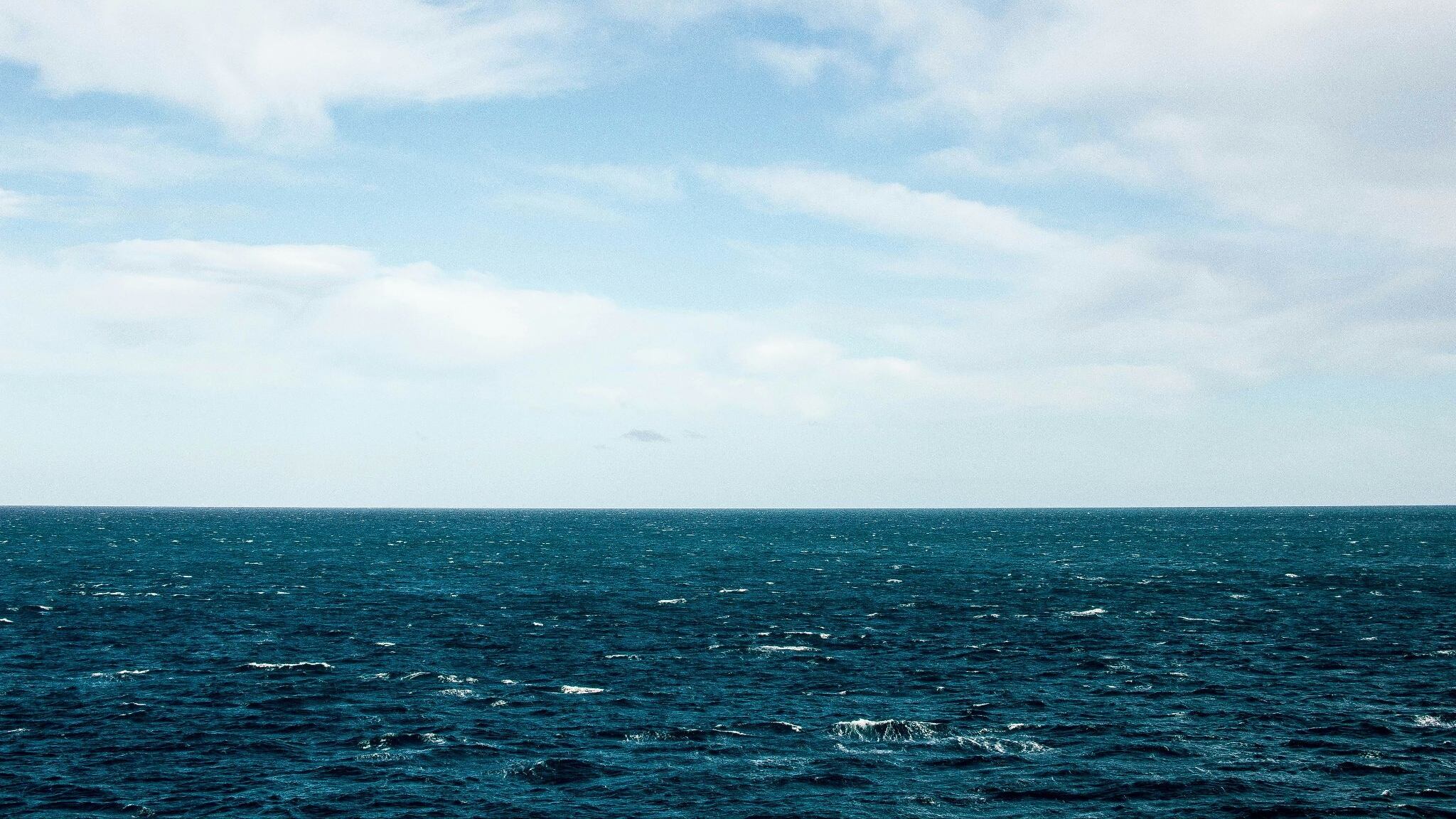 Allarme in mare, il caldo fa proliferare il batterio Vibrio: i rischi per i bagnanti