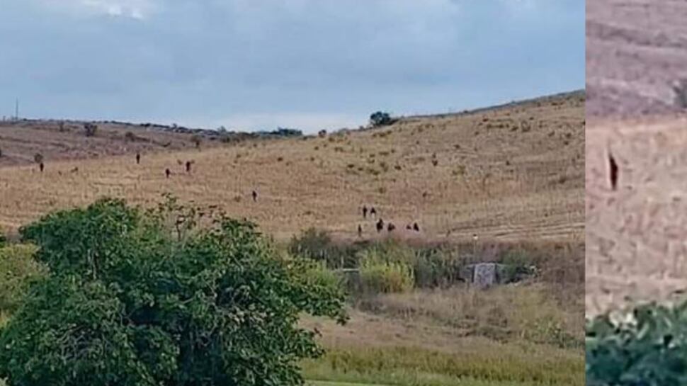 Furia degli immigrati in fuga. Agente ferito: trauma cranico