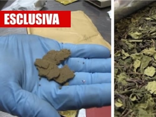 Cocaina tra peluche e vestiti: così i narcos "bucano" l'Italia