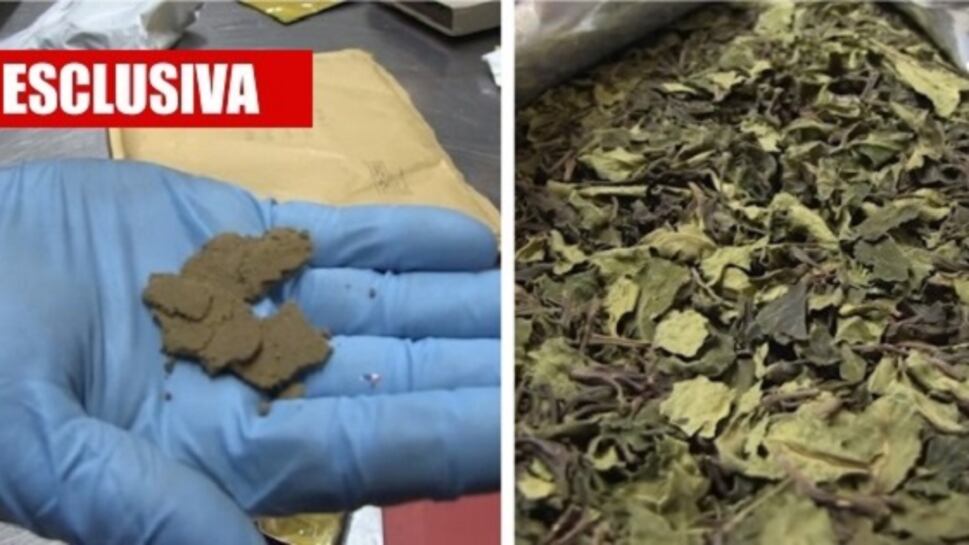 Cocaina tra peluche e vestiti: così i narcos "bucano" l'Italia