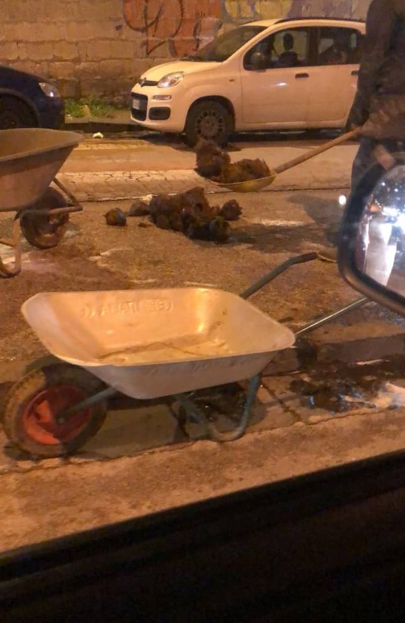 Elefante a spasso per il centro di San Giorgio a Cremano 1