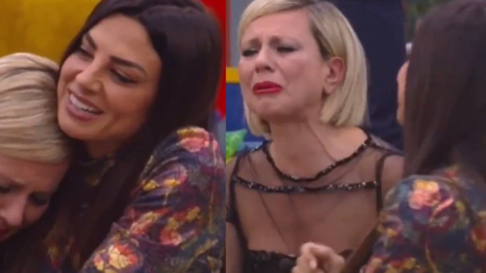 Gf Vip, Antonella Elia sbotta con Serena Enardu: "Lo faccio per i soldi"
