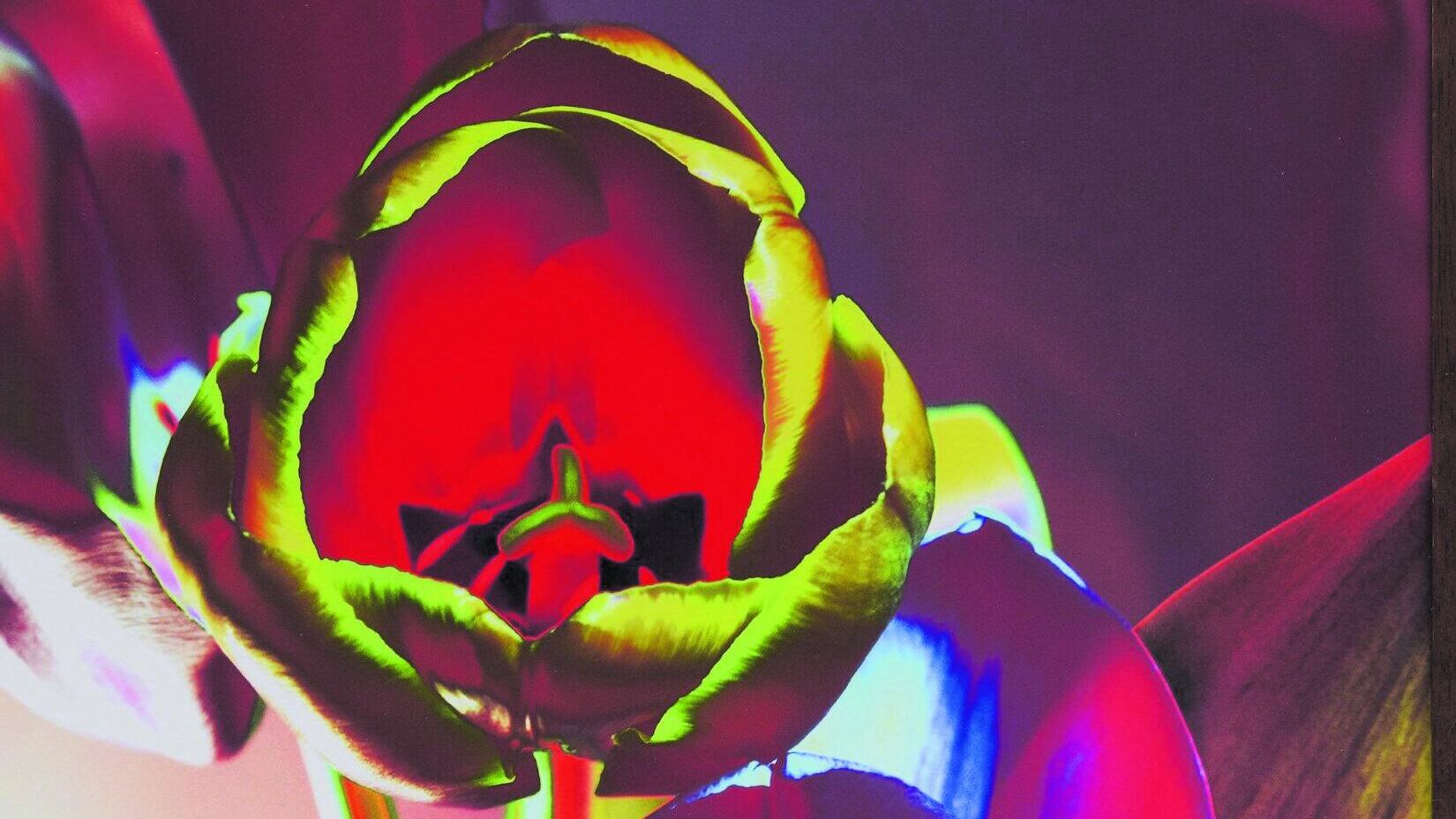 Il fotografo poeta che dipinge con l'obiettivo e parla a fiori e lune