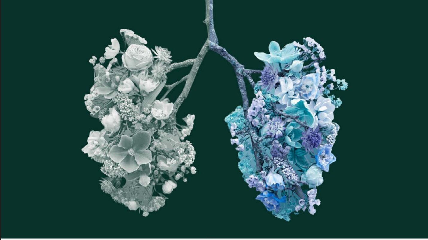 Le fibrosi polmonari, l'importante sfida per la sanità pubblica. Di cosa si tratta e a che punto è la ricerca