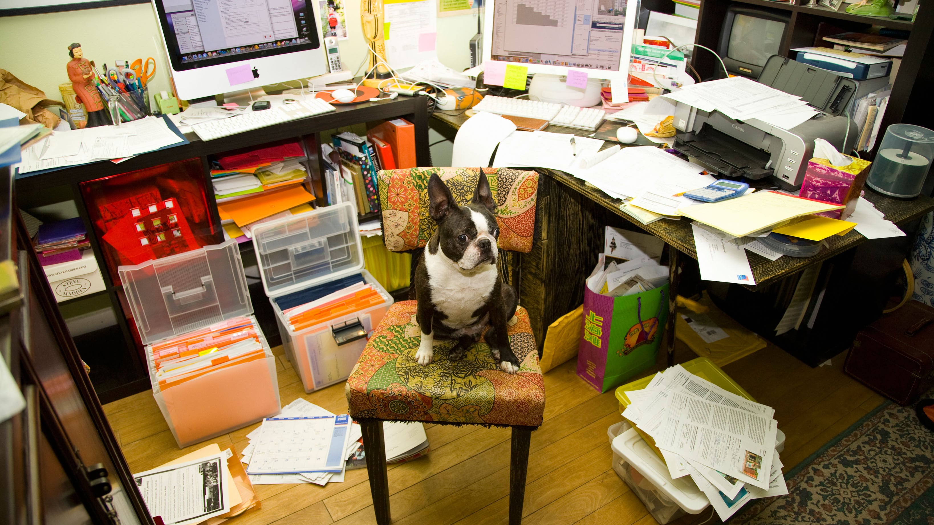 Portarsi il cane al lavoro migliora le relazioni. E le aziende ci pensano