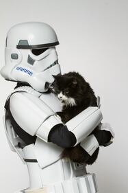 I personaggi di Star Wars per l'adozione degli animali 5