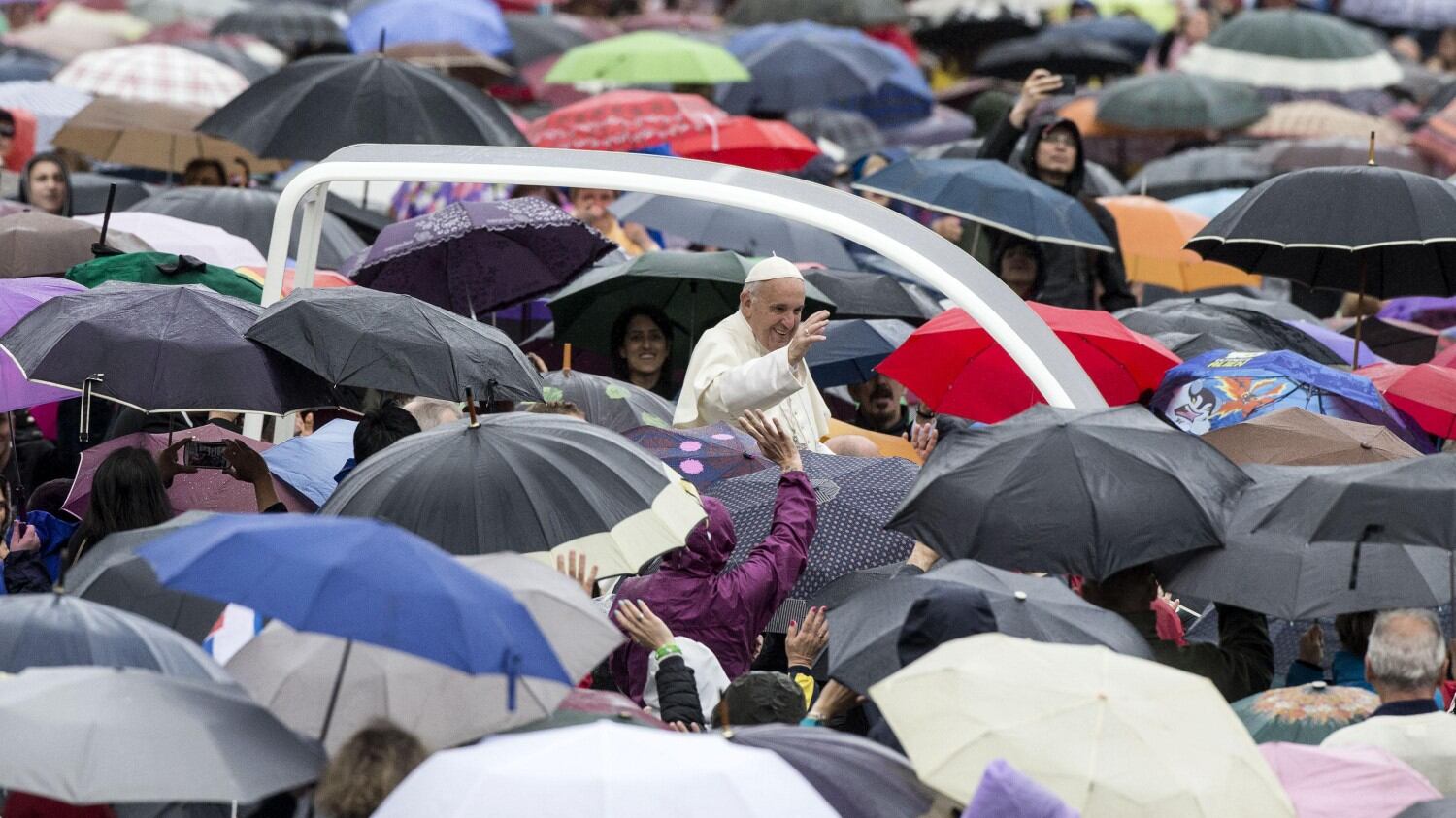 L'affondo di papa Francesco: "Quanti attaccati a cani e gatti, ignorano le sofferenze dei vicini"