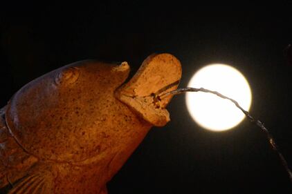 Una notte di luna rossa: ecco l'eclissi nel mondo 6