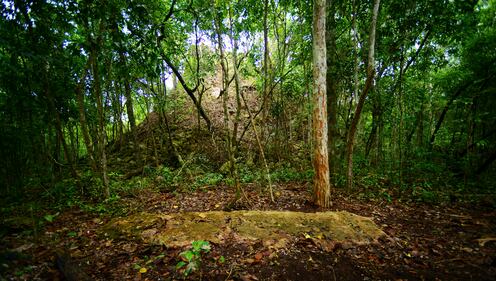 Due città maya scoperte in Messico 2