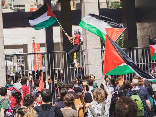 Le bufale raccontate nelle chat dei pro Palestina