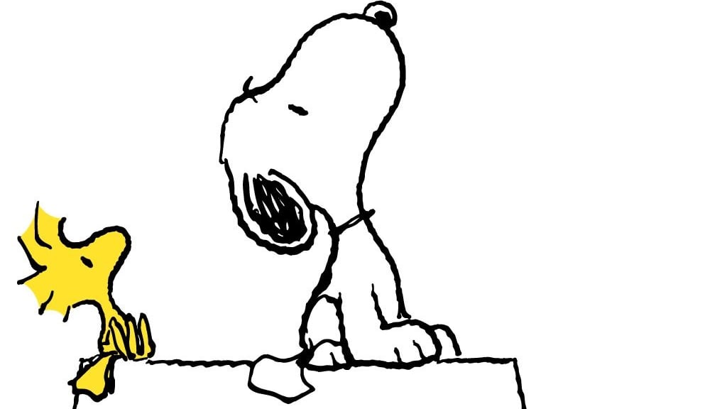 Cartesio e Snoopy ci aiutano a ricorrere al Tar