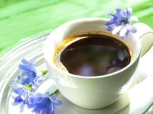 Caffè di cicoria, proprietà e benefici inaspettati
