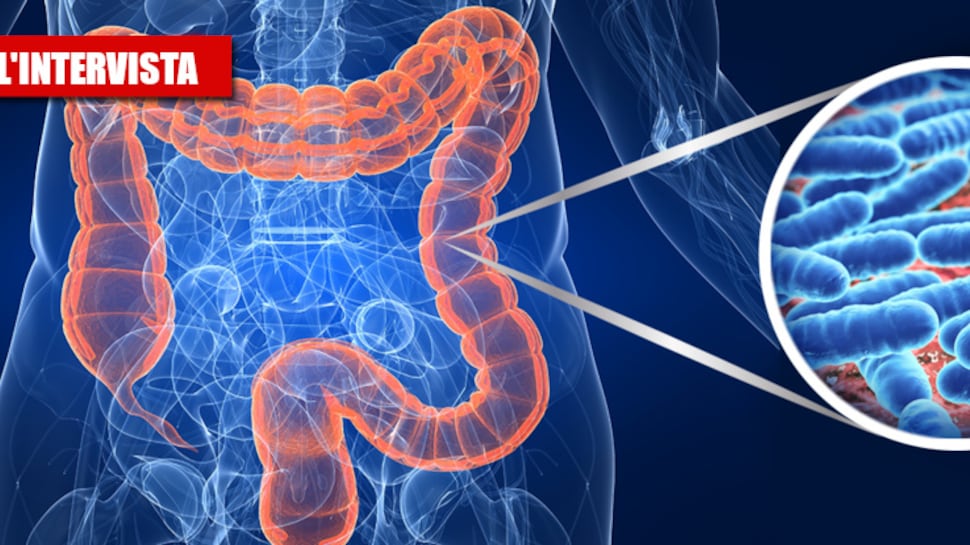 Il Covid "divora" l'intestino: "Cosa accade in 8 settimane"