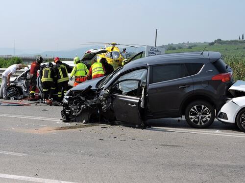 I cinghiali attraversano l'autostrada: un morto nell'incidente