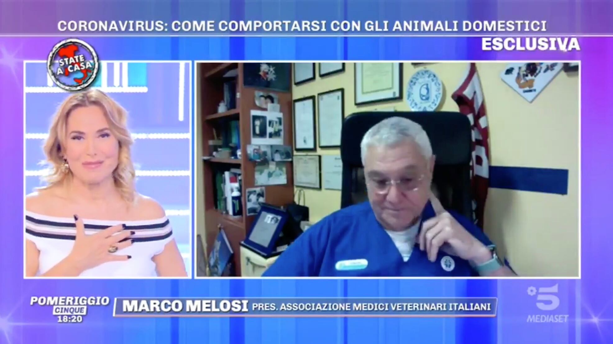 Pomeriggio5, il veterinario chiarisce l'uso della candeggina: "Ok due cucchiaini in un litro di acqua"