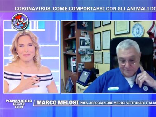 Pomeriggio5, il veterinario chiarisce l'uso della candeggina: "Ok due cucchiaini in un litro di acqua"