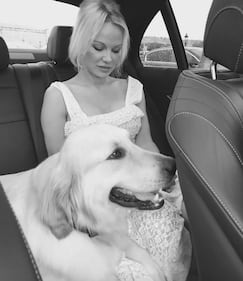 Pamela Anderson, le foto sexy 20
