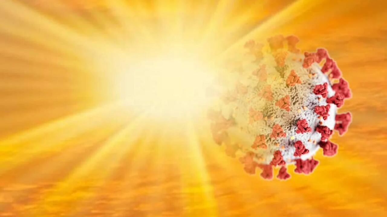 Lo studio che gela le speranze "Il caldo non fermerà il virus"