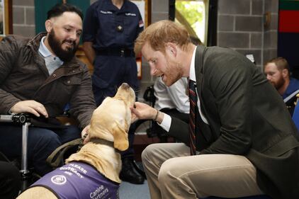 Principe Harry, le foto del duca di Sussex 3