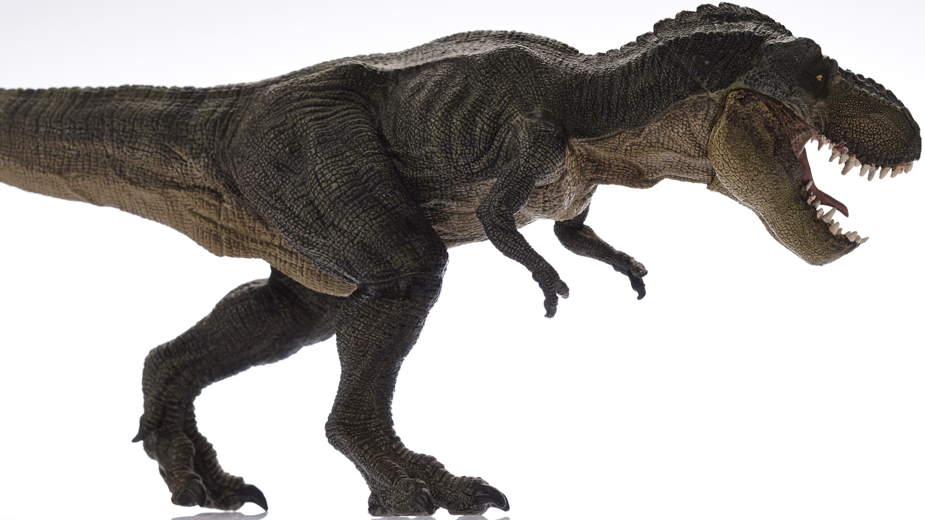 Abbiamo evitato i dinosauri, ma i batteri non riusciremo a scrollarceli di dosso
