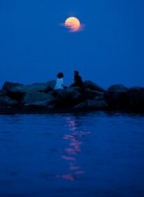 La Luna più bella dell'anno 7