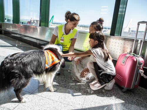 Malpensa e Linate, in volo senza stress con gli amici a quattro zampe