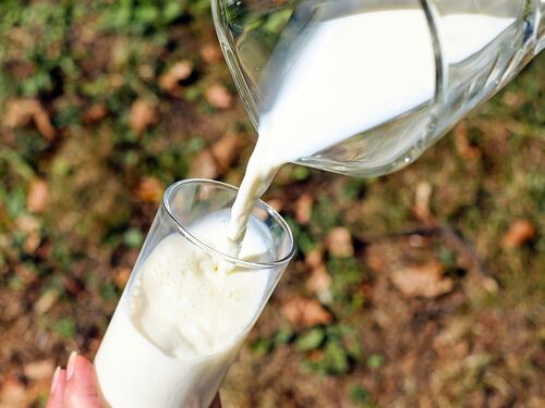 Follie alimentari dell'Ue: bocciato l'emendamento contro il "finto latte"