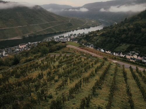 Nicola Biasi in Mosella: il Riesling innovativo