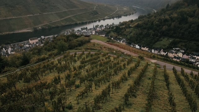 Nicola Biasi in Mosella: il Riesling innovativo