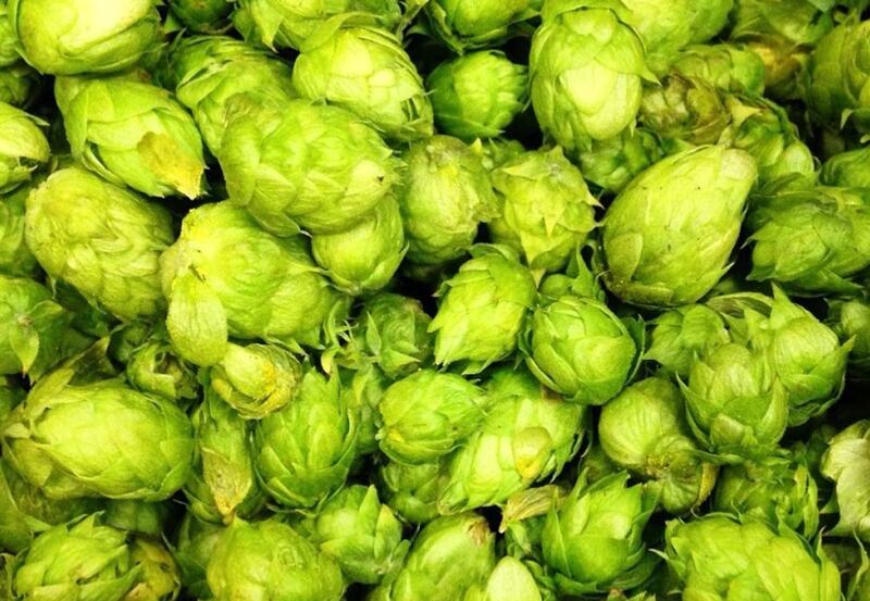 luppoli