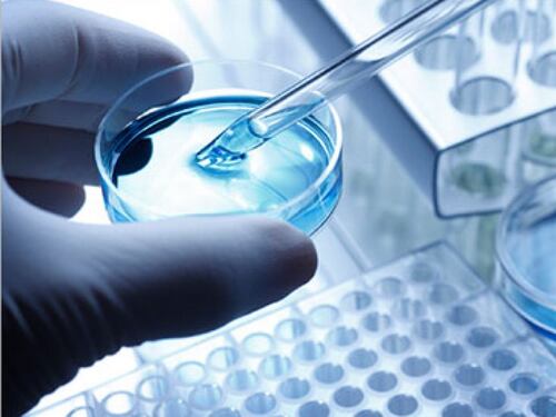 Via al progetto CardioGen che usa cellule staminali contro malattie cardiache