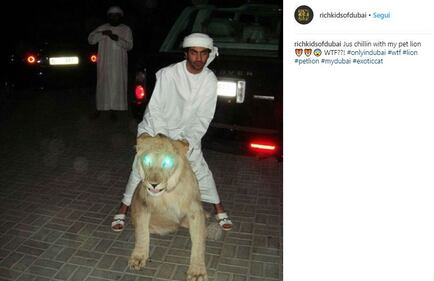 Rich Kids of Dubai, le immagini più belle 14
