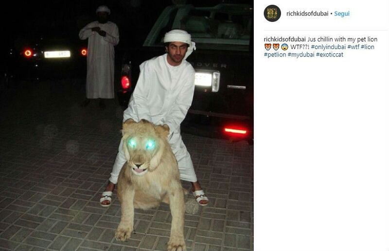 Rich Kids of Dubai, le immagini più belle 14