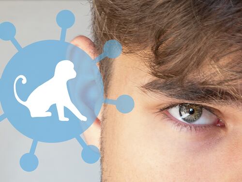 Vaiolo delle scimmie, uno studio conferma: "Mutato in modo sorprendente"