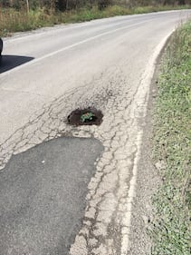 Fiori nelle buche, la protesta nei municipi romani 13
