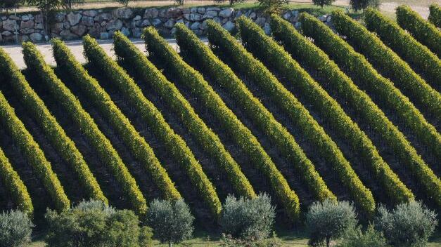 Il nostro Vinitaly 2024 - I rossi/2